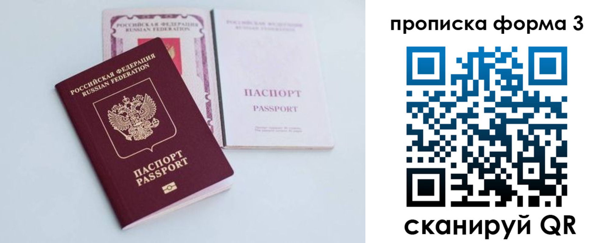 временная регистрация поиск в Курской области